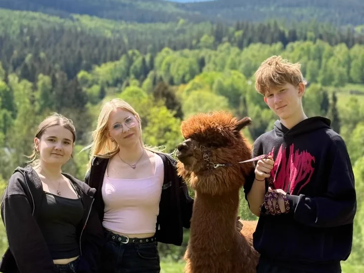 Czworo nastolatków pozuje z alpaką, w tle Góry Izerskie