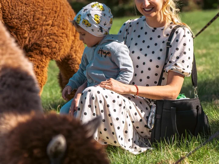 A woman with a small child is sitting on the grass amongst the alpacas